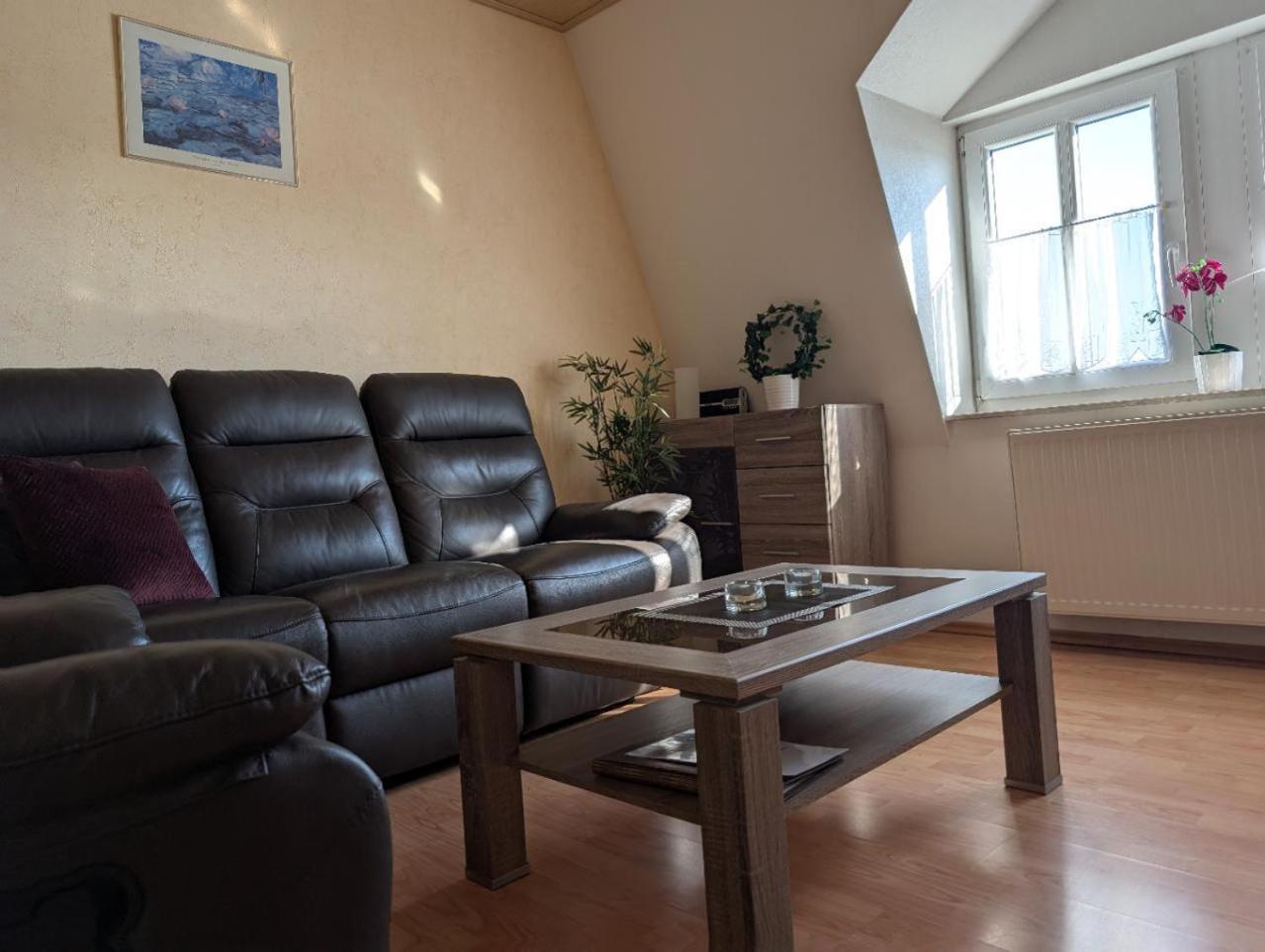 Ambiente-An-Der-Elbe-Wohnung-Og Drezno Zewnętrze zdjęcie